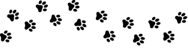 empreinte-patte-chat-chien-chiot-animal-trace_177006-39
